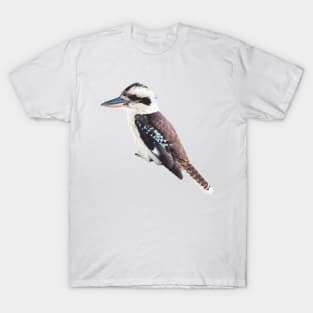 Kookaburra - An Australia Native Bird T-Shirt